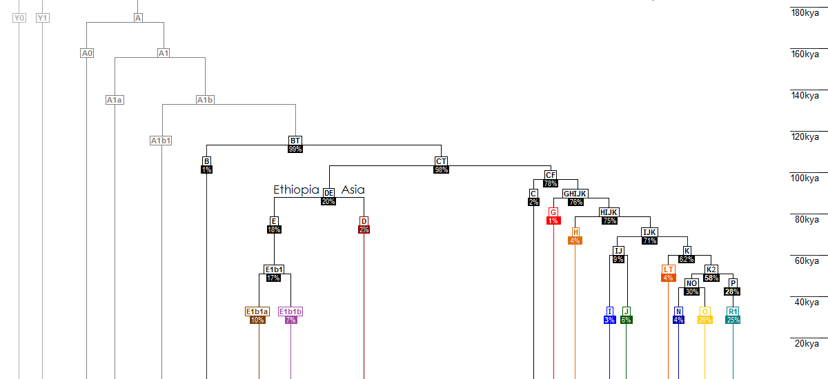 The Genetic Atlas